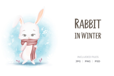 Rabbit in Winter Season Wearing Red Syal