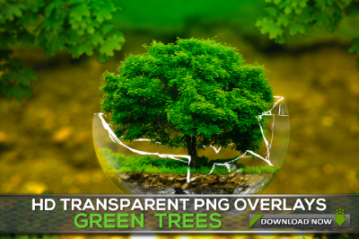 50 TRANSPARENT PNG Green Trees Overlays