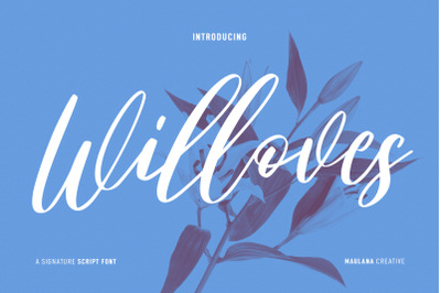 Willoves Script Font