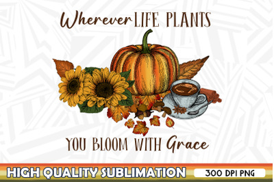 Fall Flower Life Plants You Bloom Grace