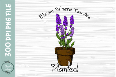 Bloom Where You Are Planted Floral