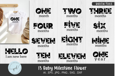 13 set Baby Milestone Flower SVG