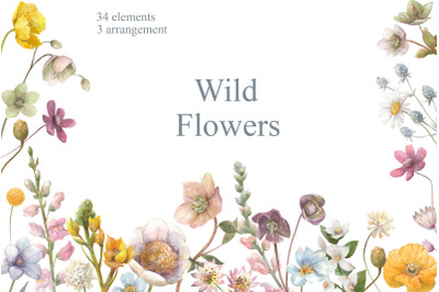 Watercolor Wild Summer Flowers Clipart.