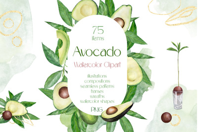 Watercolor Avocado Clipart PNG