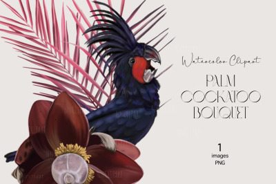 Palm cockatoo Parrot, Watercolor bouquet clipart