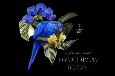 Hyacinth macaw Parrot, Watercolor bouquet clipart