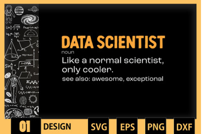 Funny Data Scientist Meaning