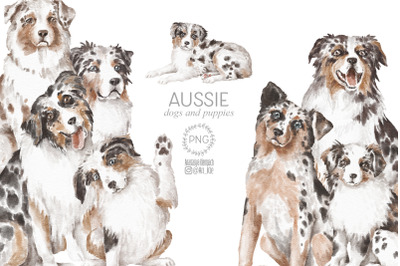 Aussie dog clipart bundle