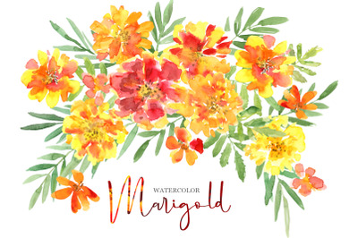 Watercolor Marigold Flowers