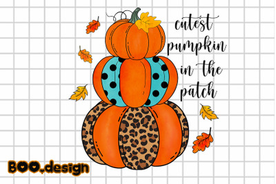 Cutest Pumpkin In The Patch Graphics