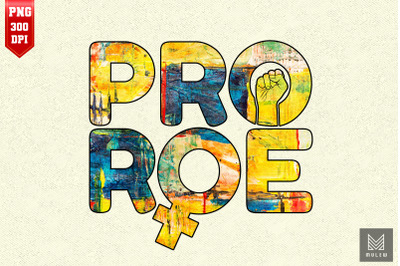 Pro Roe 1973 Pro Choice Abortion Rights