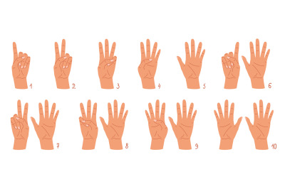 Cartoon hands count gesture, human wrist finger numbers. Vector illust