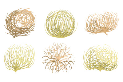 Cartoon tumbleweed. Western valleys and deserts plant, rolling dry tum