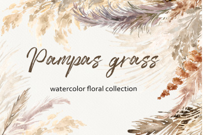 Pampas grass boho floral collection