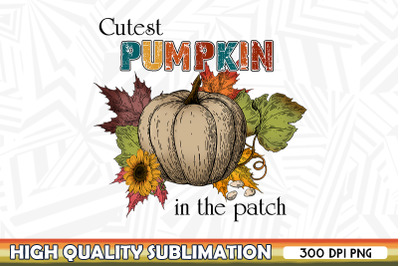 Cutest Pumpkin in the Patch PNG