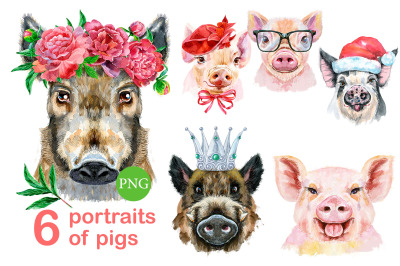 Cute watercolor pigs. Part 17