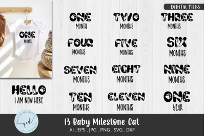 13 set Baby Milestone Cat SVG