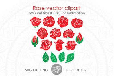 Roses SVG, red rose PNG, rose vector