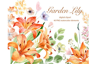 Lily Watercolor Clipart. Botanical Watercolor Clipart. Floral Digital