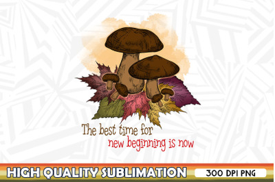 The Best Time for New Beginning Mushroom