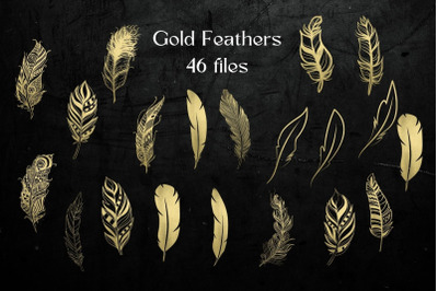 Gold Feathers Collection