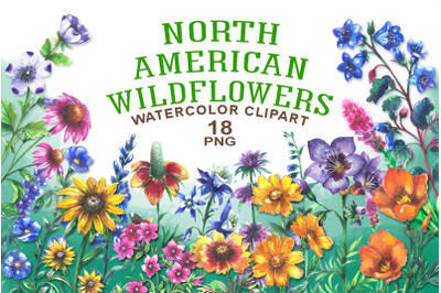 North american wildflowers