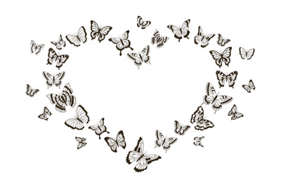 Monochrome heart of butterflies. Flying insects with detailed wings. I
