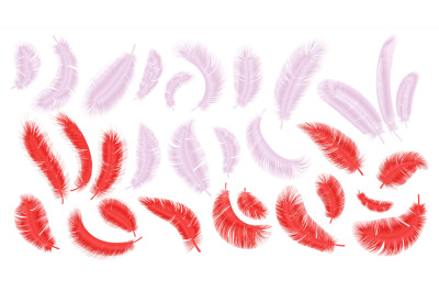 Pink and red feathers. Realistic flamingo fluffy plumage, parrot and e