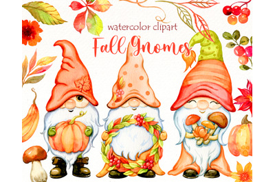 Watercolor Fall Gnomes Clipart | Autumn Gnome | Pumpkin png.