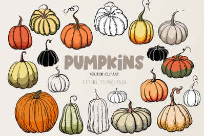 Pumpkins - vector clipart