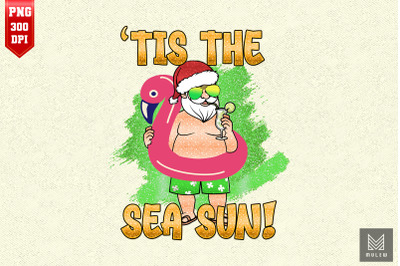 Tis the Sea-Sun Santa Flamingo Float