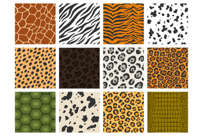 Animal print. Reptile and mammal texture collection, tiger leopard zeb