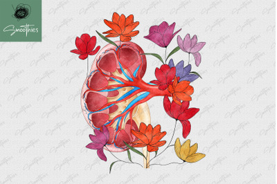 Anatomy Kidney With Flower Design