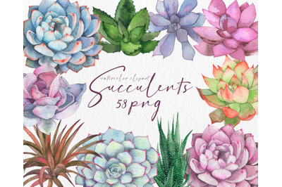 Watercolor succulent cactus clipart Watercolor flowers floral png