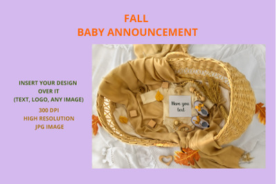 Fall Baby Announcement  Autumn Announcement Pregnancy