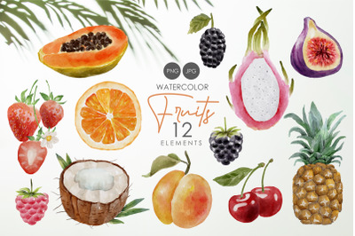 Watercolor fruits clipart, Tropical elements, Summer clip art