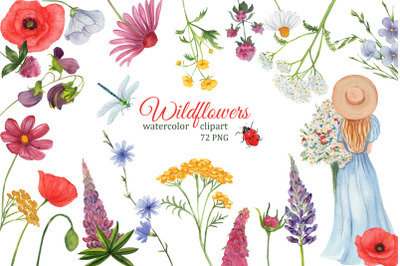 Wildflowers meadow watercolor clipart, summer png