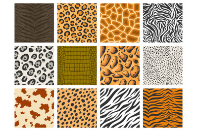 Animal pattern. Tiger leopard zebra skin texture collection, reptile a