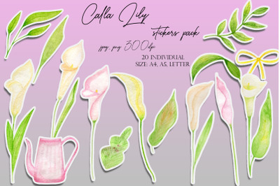 Watercolor  Calla lily Stickers Pack