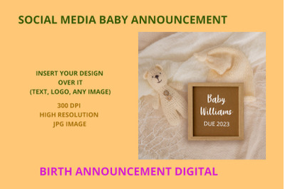 Editable  Pregnancy Announcement  Baby Announcement Template