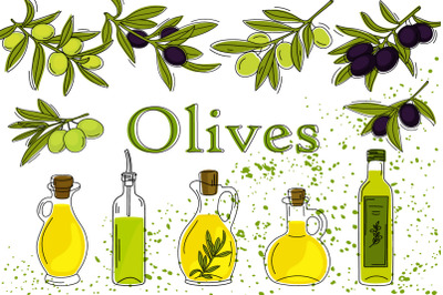 Hand drawn olive branches and olive oil.