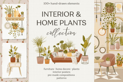 Interior &amp; home plants collection