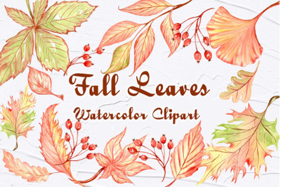 Fall Leaves Watercolor Clipart