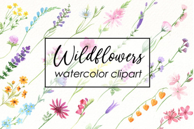 Watercolor Wildflowers Clipart, Bright Summer flowers png.