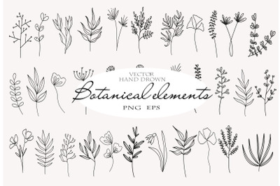 Large set of hand drawn botanical elements in vector Png Eps