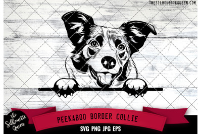 Border Collie Peek A Boo | Peekaboo | Peeking Dog Face SVG