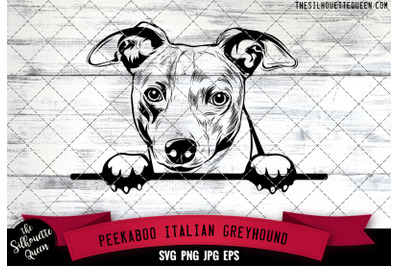 Italian Greyhound Peek A Boo | Peekaboo | Peeking Dog Face SVG