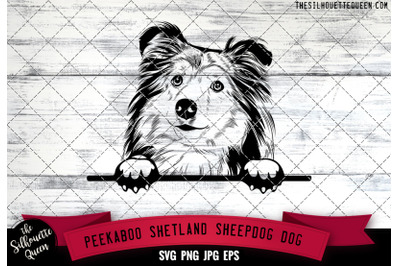 Shetland Sheepdog Peek A Boo | Peekaboo | Peeking Dog Face SVG