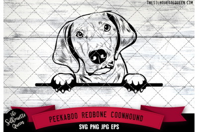 Redbone Coonhound Peek A Boo | Peekaboo | Peeking Dog Face
