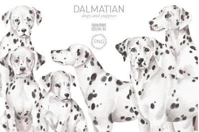 Dalmatian dogs clipart